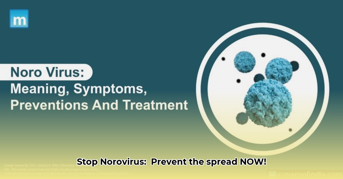 noro-virus-besmettelijk